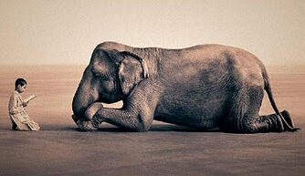 Noi occidentali crediamo che la conoscenza sia raggiungibile attraverso dei concetti esprimibili con il linguaggio.
La maggior parte delle filosofie orientali considera il linguaggio più un impedimento che un aiuto nell’esprimere la verità.
Il problema del linguaggio che si presenta a un mistico orientale è che esso è uno strumento inadatto ad esprimere verità sovra-logiche.