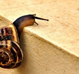 A Lavoro ho incontrato una signora anziana, non saprei dire l