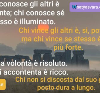 La ricerca di armonia e bellezza che ogni uomo ha dentro di sé è intessuta nella stessa trama col valore della fratellanza. Questo perché la fratellanza racchiude in sé molti concetti cardine dell’uomo, il primo fra tutti è l’umanità e cioè il senso di appartenere alla razza umana, di esserne membri e vivi partecipanti con la gioia di poter godere di pari diritti e di avere pari dignità.